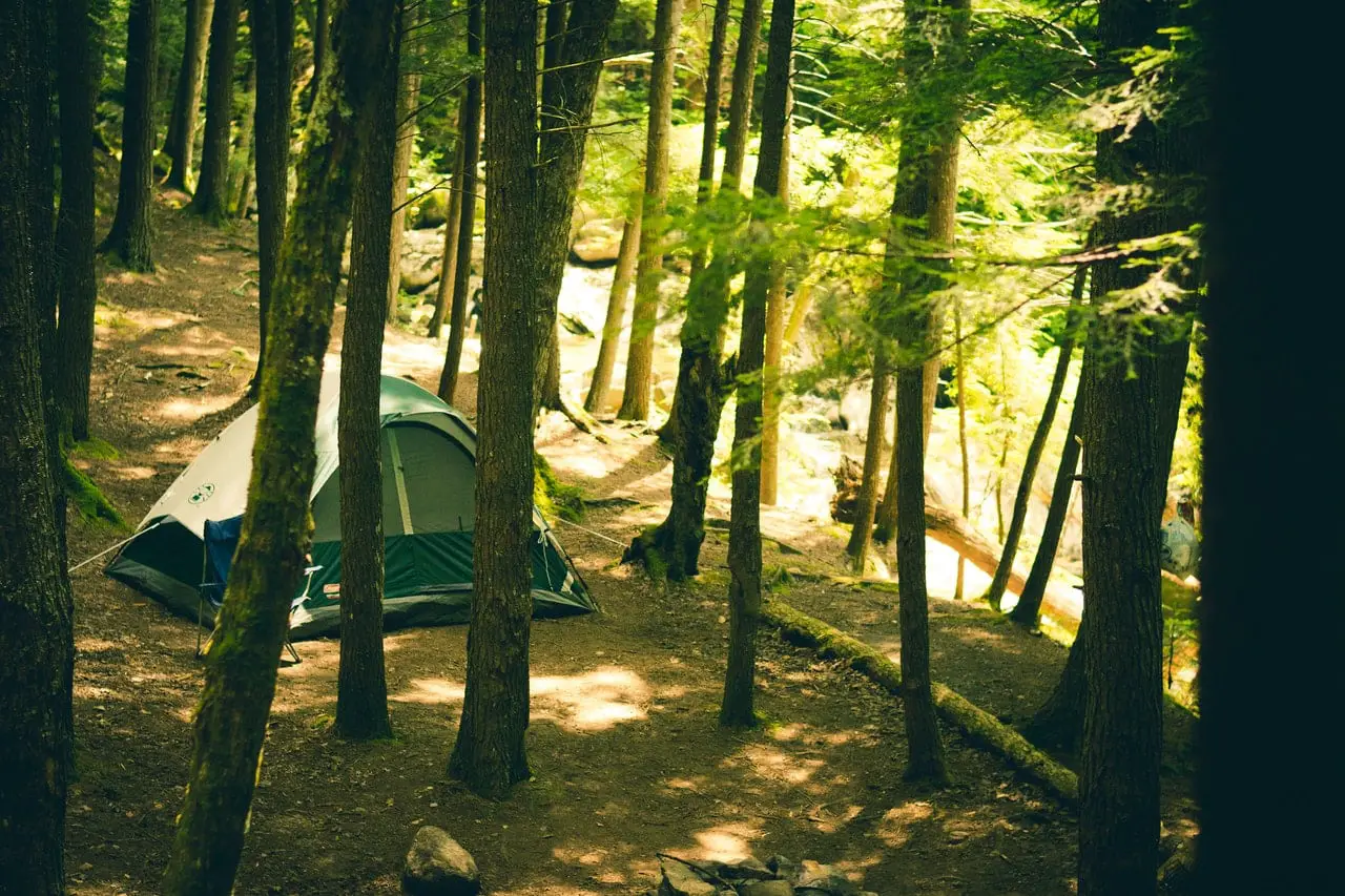 camping tent in a forest