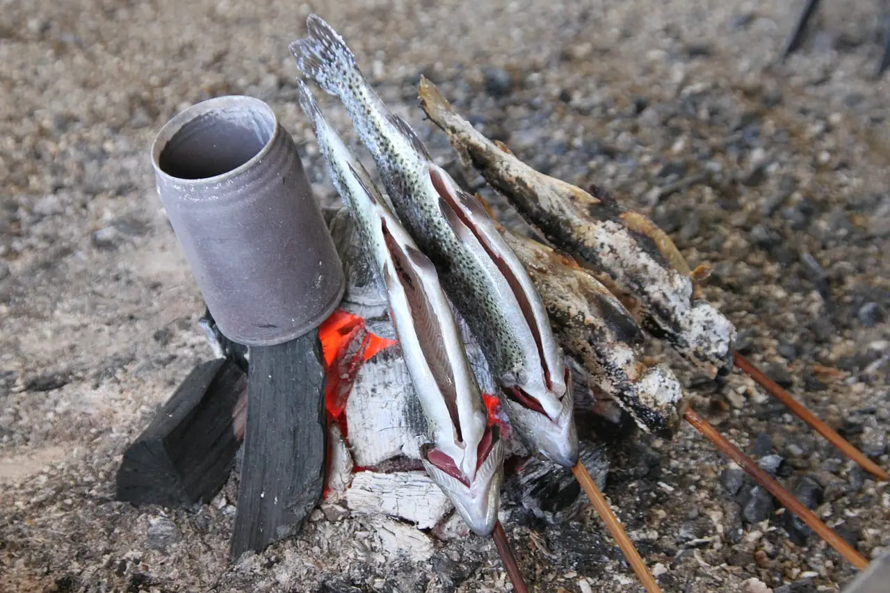 cooking fish while camping
