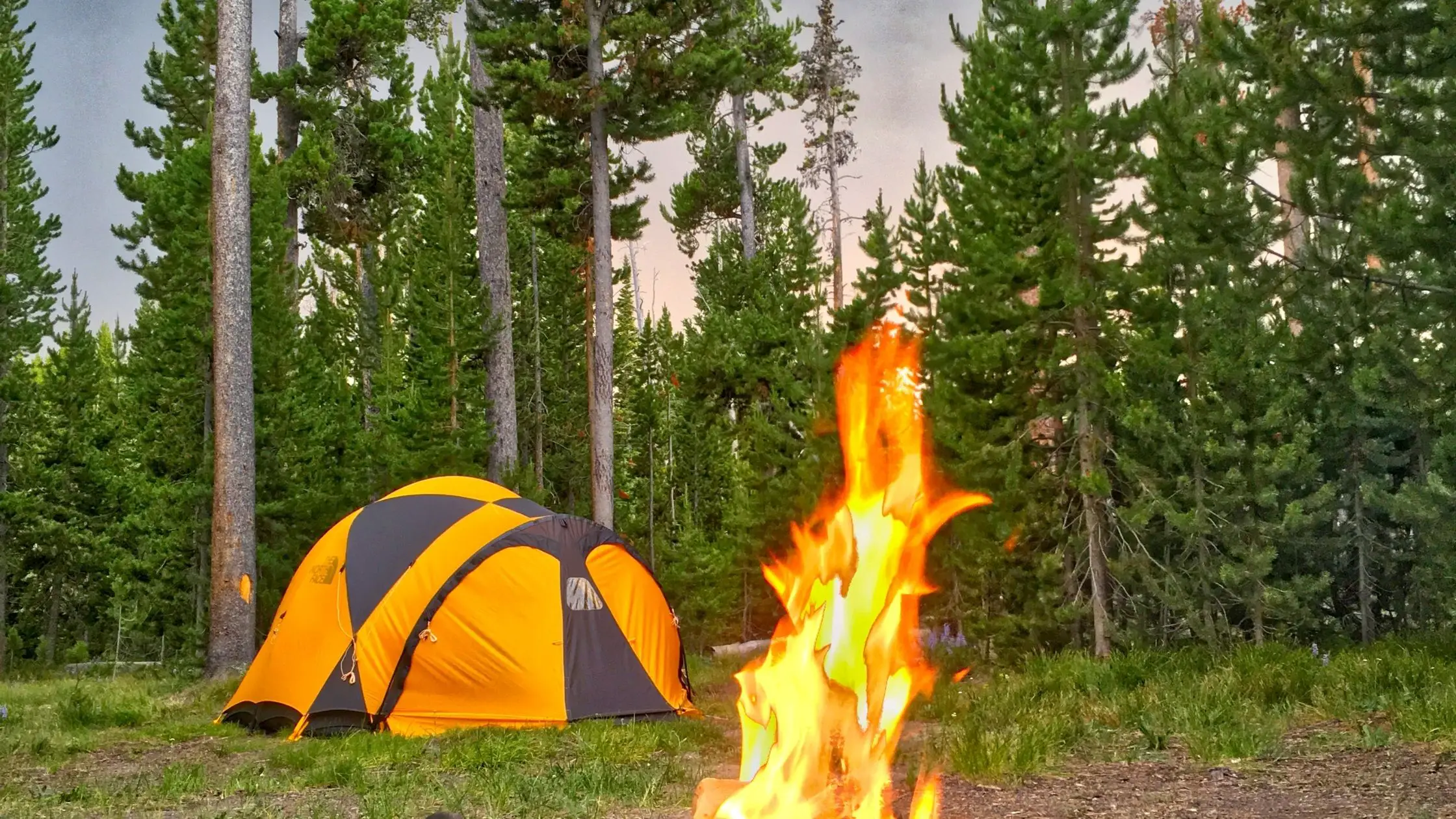 How Much Firewood Do I Need For Camping?