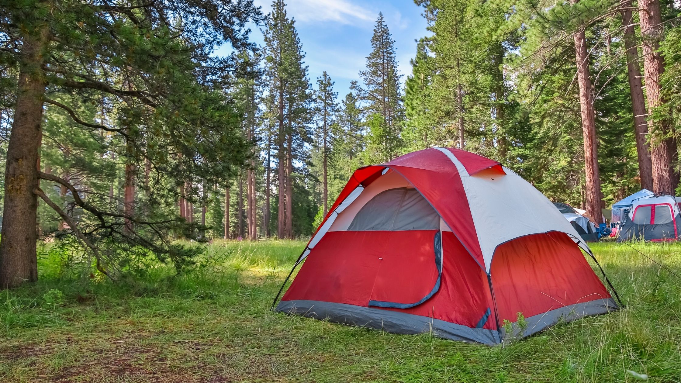 Fun Things to Do When Camping With Family