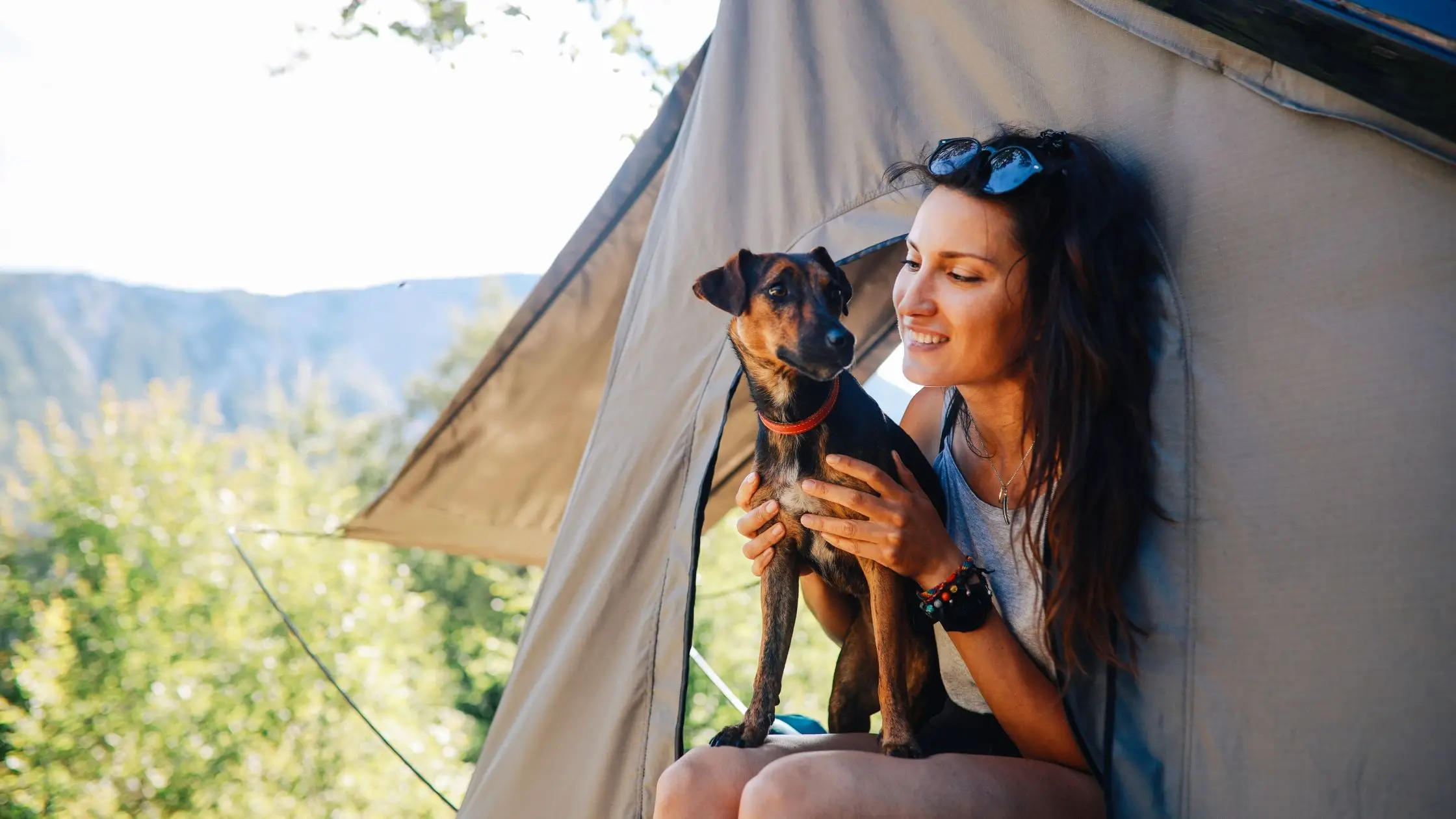 Is Camping World Pet Friendly?